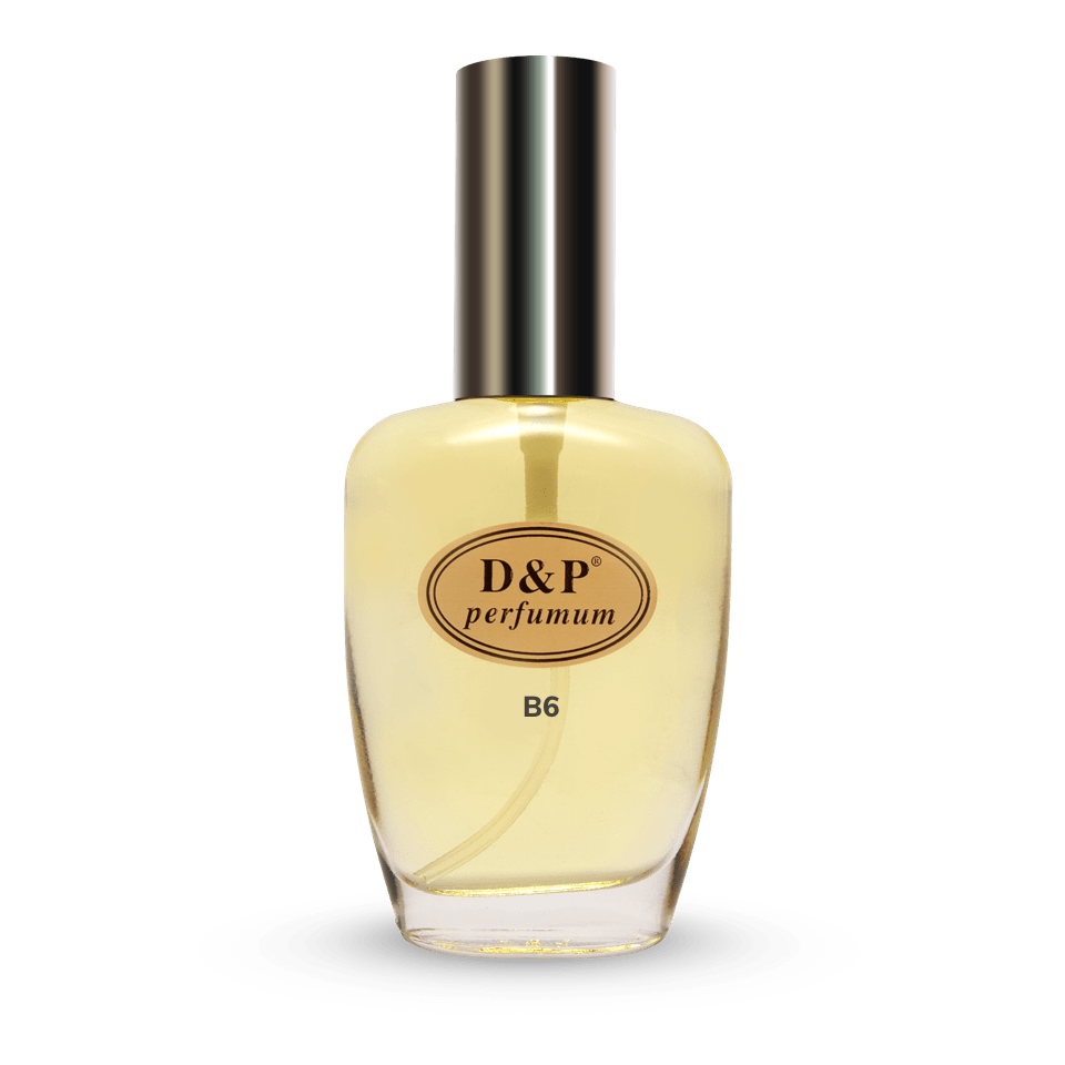 B6 herengeur - vergelijkbaar met Burberry Classic - 100ml